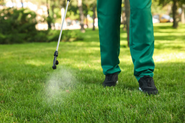 Best Wasp Removal Services  in Dundee, FL
