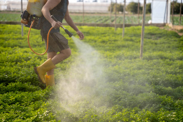 Best Pest Control for Homes  in Dundee, FL